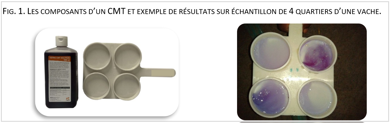 FIG 1. LES COMPOSANTS D’UN CMT ET EXEMPLE DE RÉSULTATS SUR ÉCHANTILLON DE 4 QUARTIERS D’UNE VACHE.