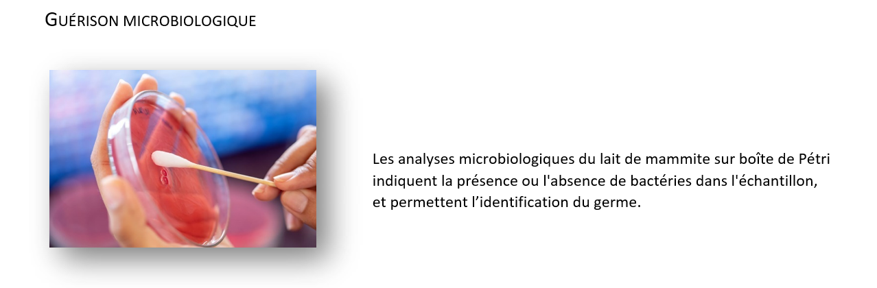 guérison microbiologique